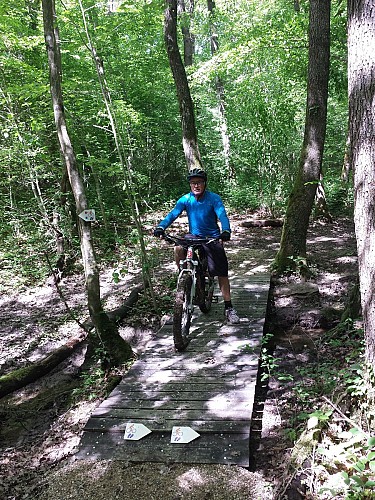 Circuit VTT feuillage