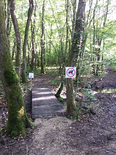 Circuit VTT feuillage