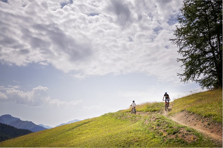 VTT été