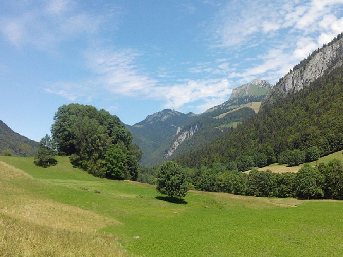 Toffe lus rond de Pont Couvert