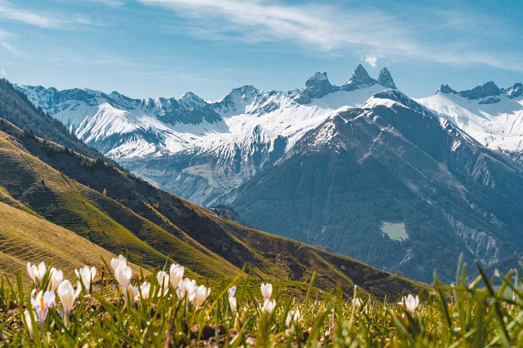 The Col d'Arves in summer