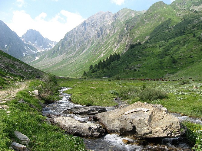 Route zum Wandern : Promenade Vallon de Foran