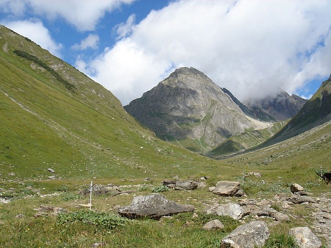 Route zum Wandern : Promenade Vallon de Foran