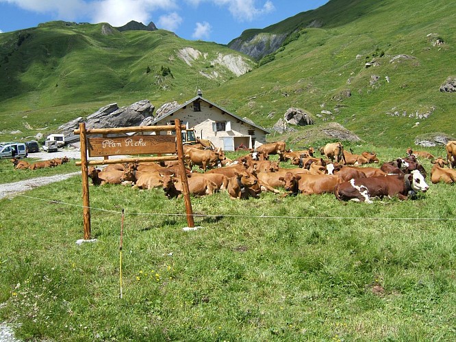 Wanderroute: Pfad auf dem Plateau von Plan Pichu