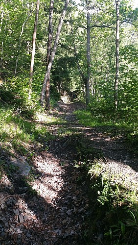 St Marcel footpath, valley of La Plagne