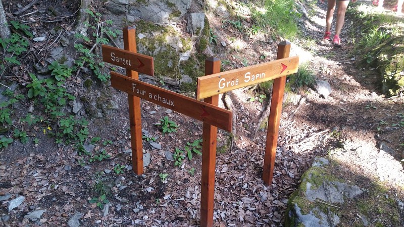 Route zum Wandern : Montadry-Schleife