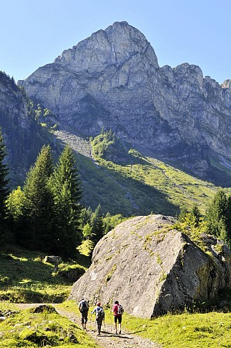 Wandelroute: Rondwandeling rond de Pointe d'Ardens vanuit Prétairié