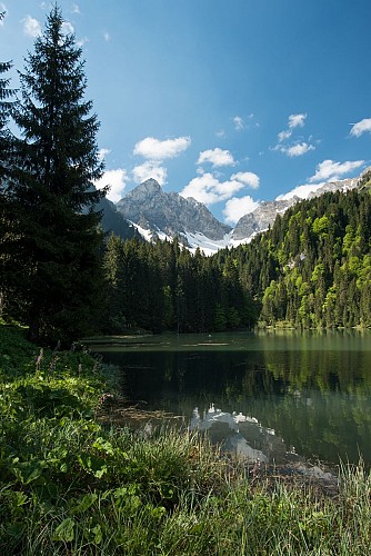 Wandelroute: Rondwandeling rond de Pointe d'Ardens vanuit Prétairié