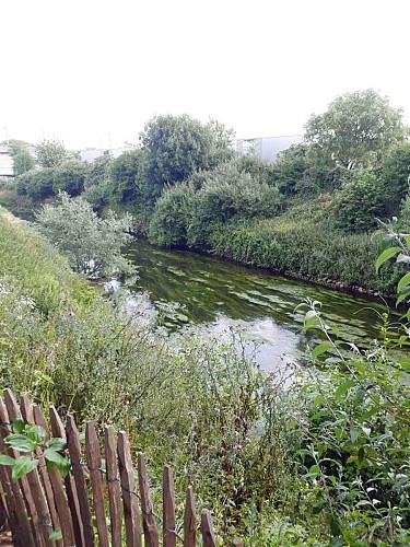 Une rivière moins polluée 