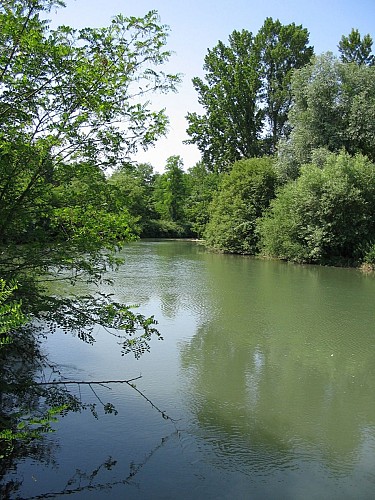 Sentier de l'Adour de Cahuzac sur Adour à Riscle