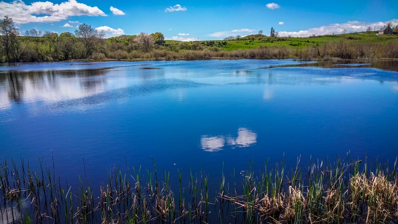 Etang des Bondes