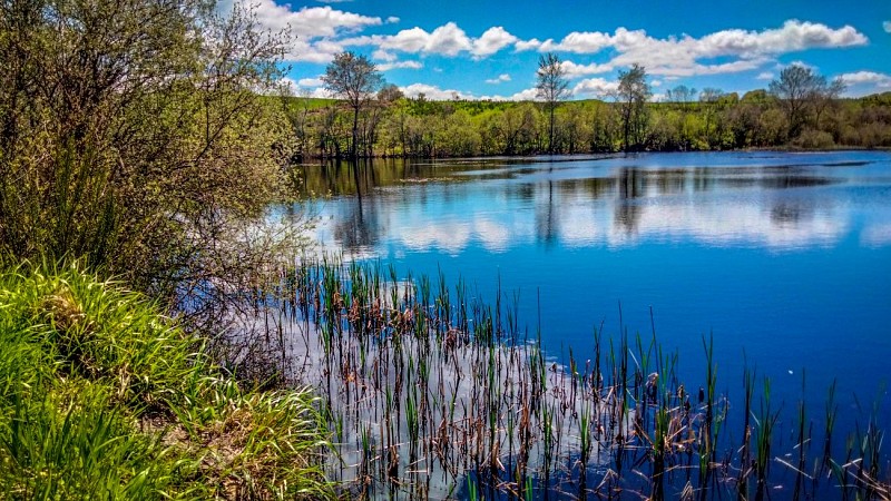 Etang des Bondes