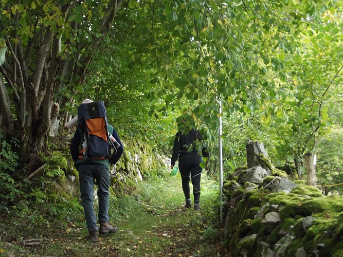 Sentier Botanique de Chassagne