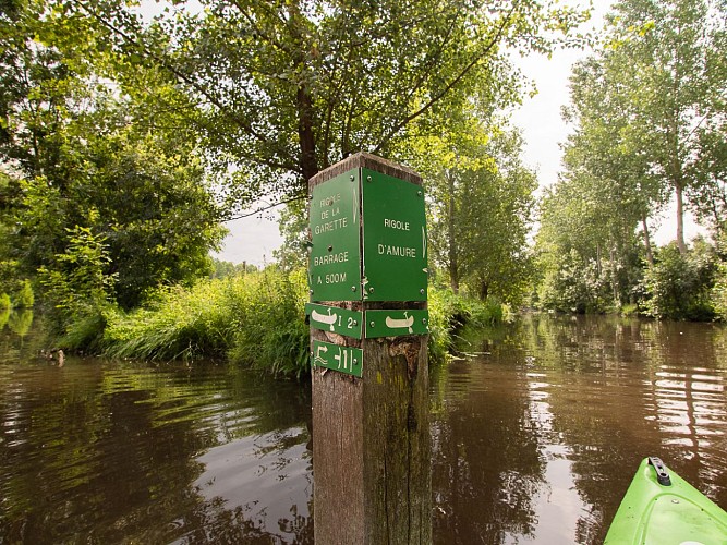 25-sortie kayak irleau le vanneau 13.06.2023