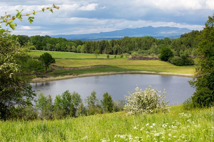 Le Lac du Mont de Bélier