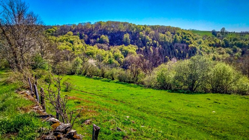 Bois du Fayet