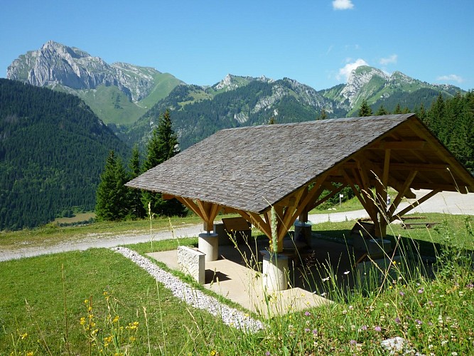 Walking route - Tour of Mont de Grange from Châtel