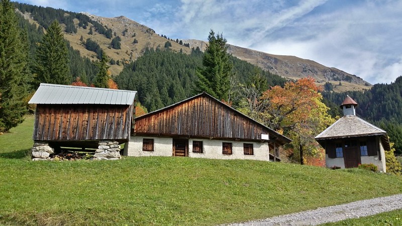 Walking route - Tour of Mont de Grange from Châtel