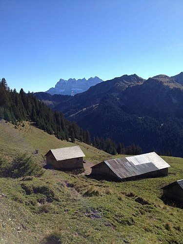 Walking route - Tour of Mont de Grange from Châtel