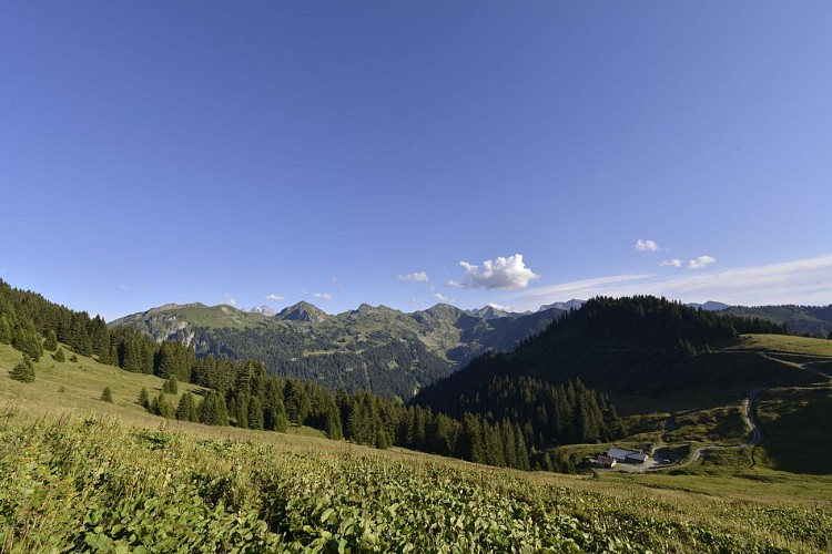 Walking route - Tour of Mont de Grange from Châtel