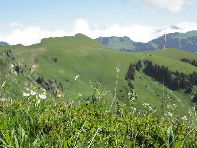 Walking route - Tour of Mont de Grange from Châtel