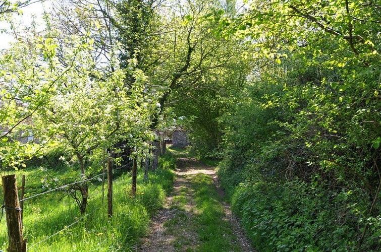 Sentier lacs et forêts