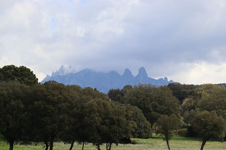 Vue sur les aiguilles