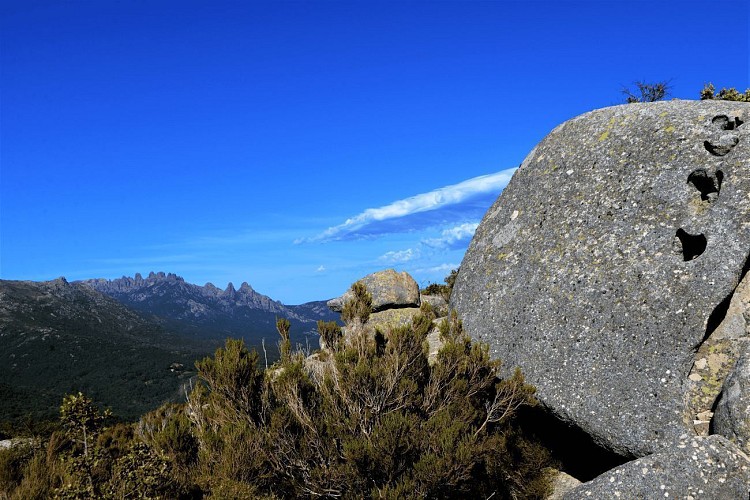 Vue sur les aiguilles