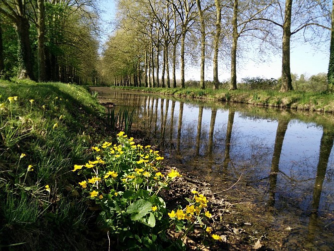 Canal d'Orléans de Chalette-sur-Loing à Orléans