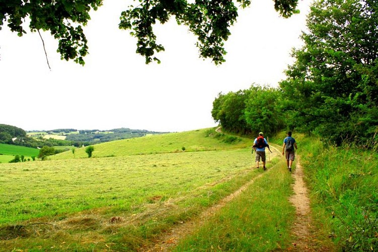 Chemin
