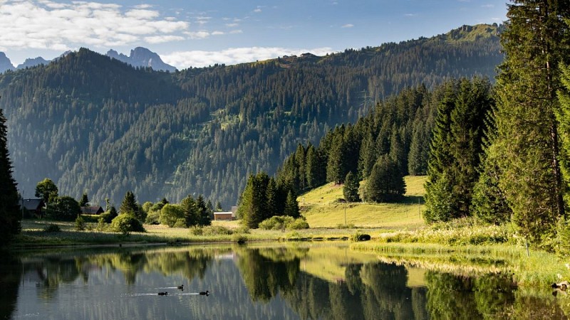 Morgins - Lac - Les Têtes - Restaurant du Corbeau - Morgins