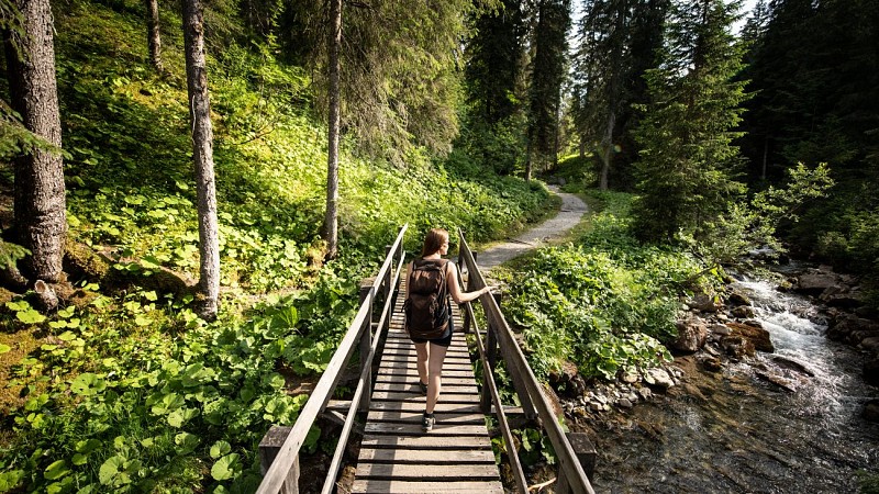 Der Waldweg_Morgins