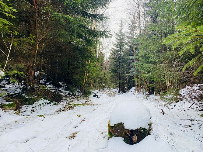 Snowshoe trail - The Lac Blanc dike