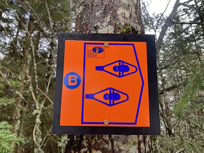 Circuit raquettes - La digue du Lac Blanc