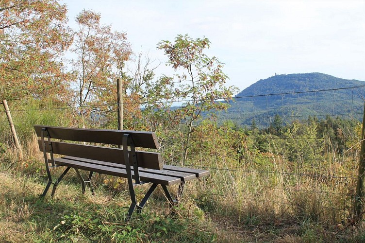 De retour du Heyriseck...