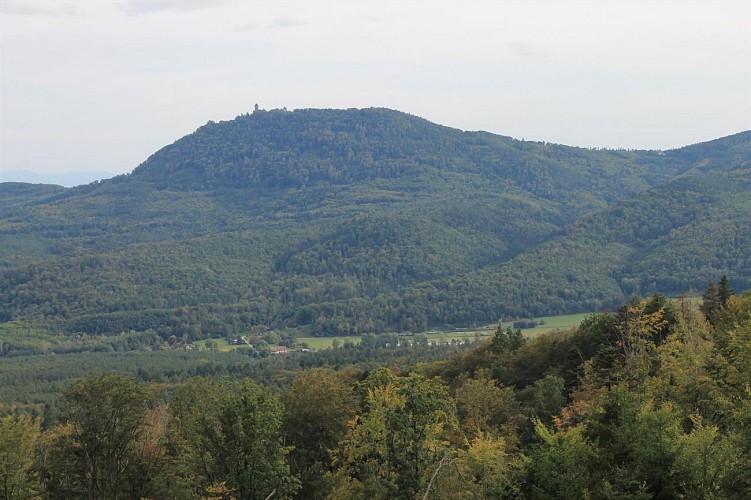 Circuit A l'assaut du Frankenbourg depuis La Vancelle