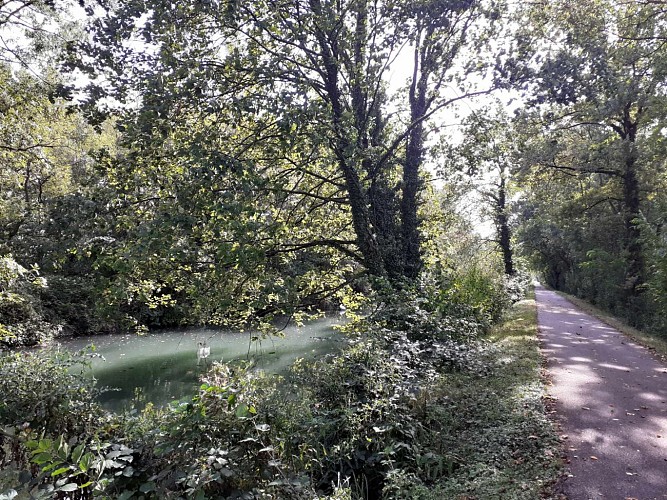 Le long du Canal du Rhône au Rhin