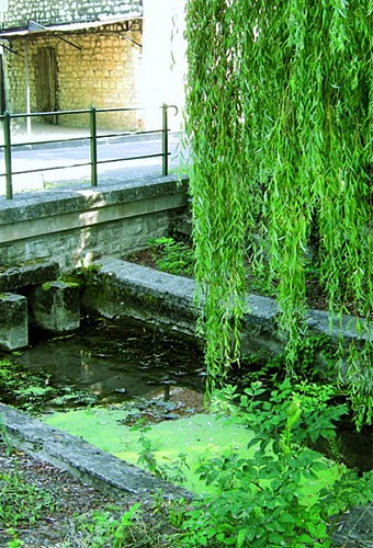 Le haut des Sorins à Turny