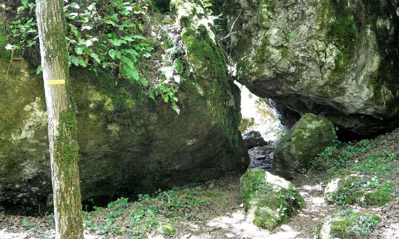 TRAIL LES CORNICHES DE LAUROUX