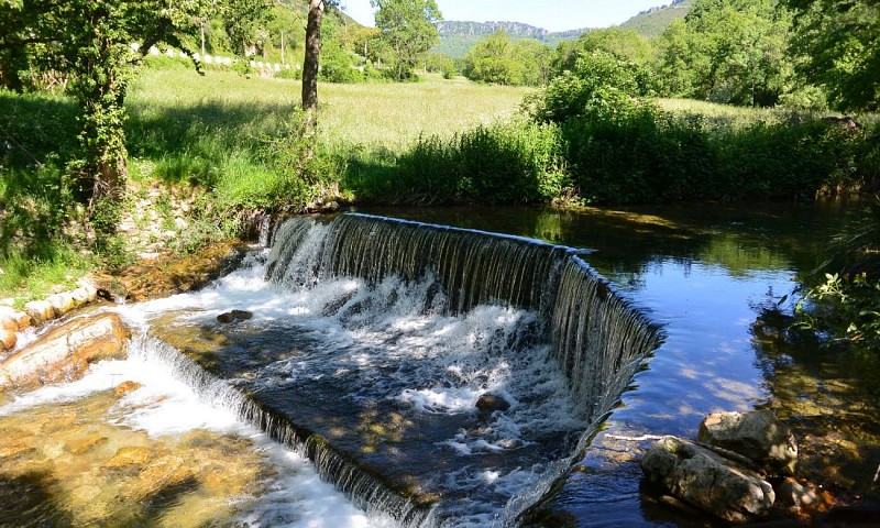 TRAIL LES CORNICHES DE LAUROUX