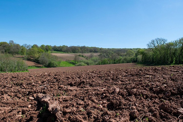 2023-OTPV-Lemiere-Reportage-Mai-098 TIS