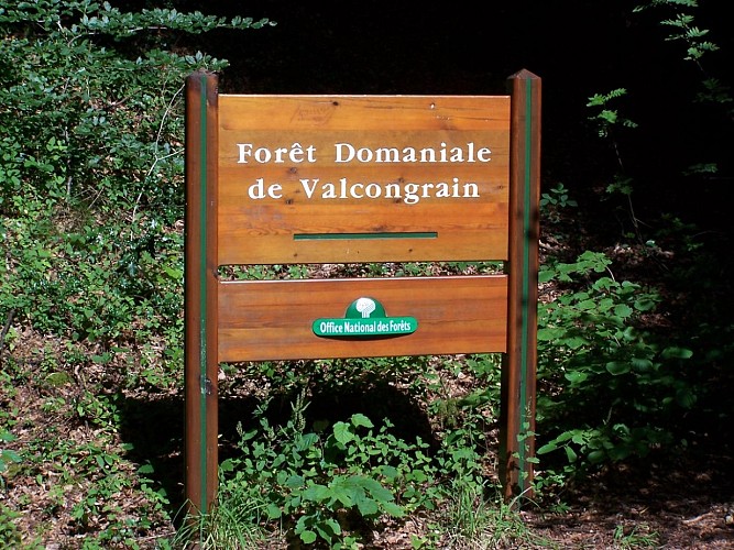 Forêt Domaniale de Valcongrain