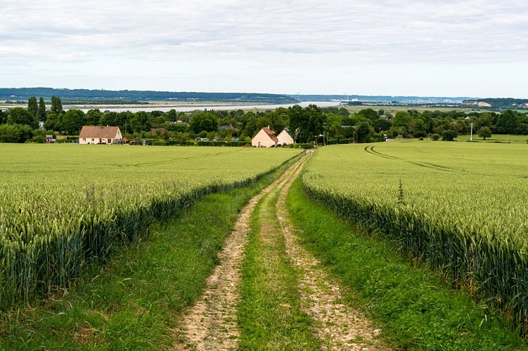 Parcours du village à la forêt