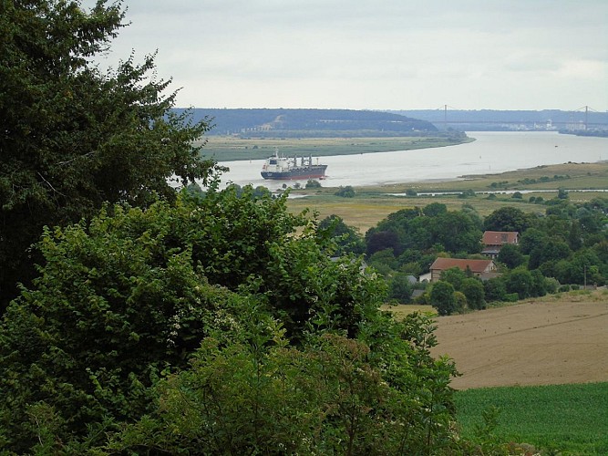 Panorama de la forêt