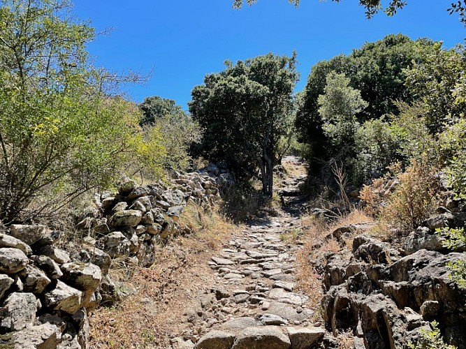 Trail 1 : Initiation