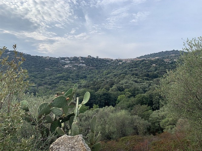 Trail 3 : Giru di L'Isula - Monticellu - Palmentu