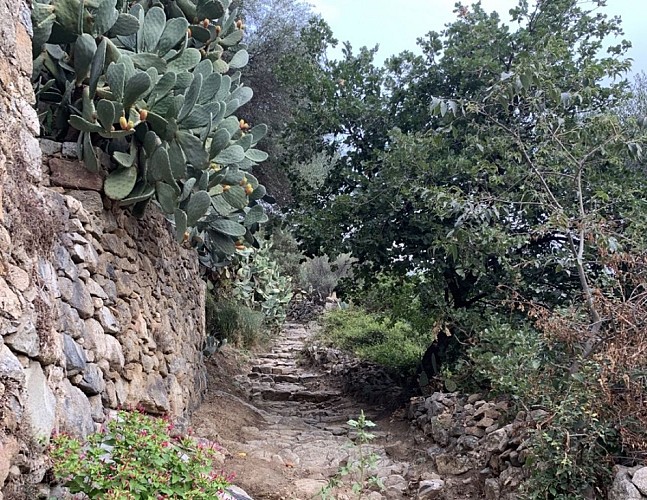 Trail 3 : Giru di L'Isula - Monticellu - Palmentu