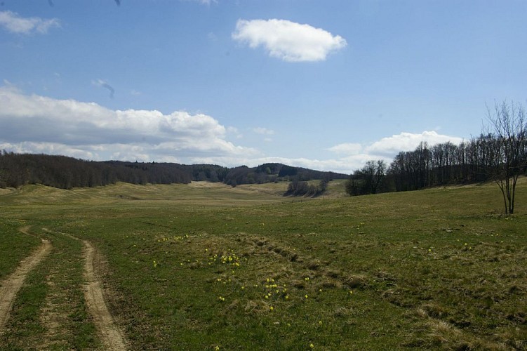 La combe de Danoa (entrée)