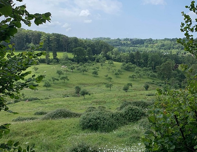 La vallée de la Morelle