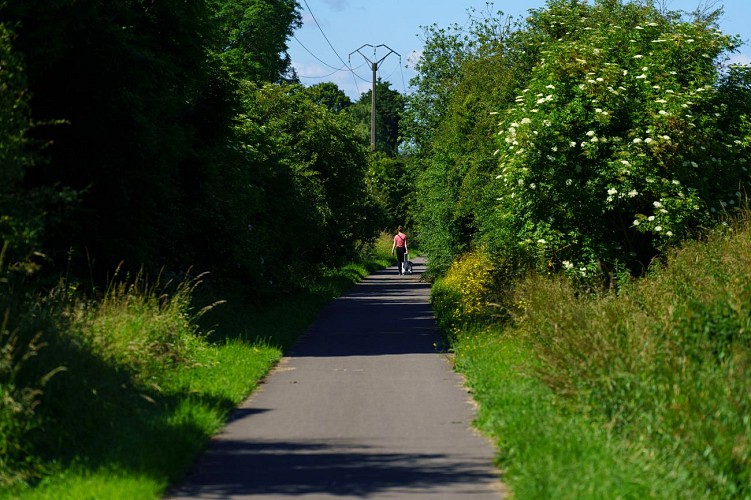 SF B RAV MAR FIG 19 001